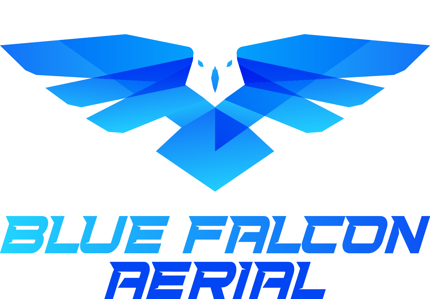 Blue Falcon Aerial Logo